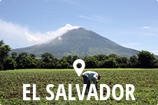rejs til El Salvador på studietur med global contact