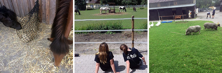 Work Camp i Tyskland