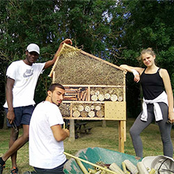 Frivillig i Frankrig på en Work Camp