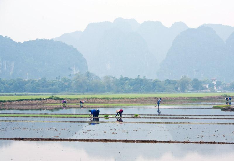 Frivilligt-arbejde-i-Vietnam-11.jpg Rejs som bioanalytikerstuderende