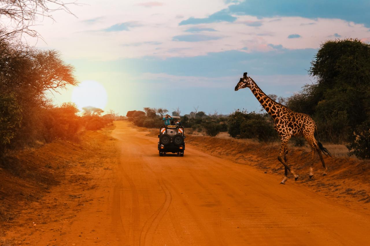 Kenya shutterstock_1051333253.jpg Rejs på praktik i udlandet