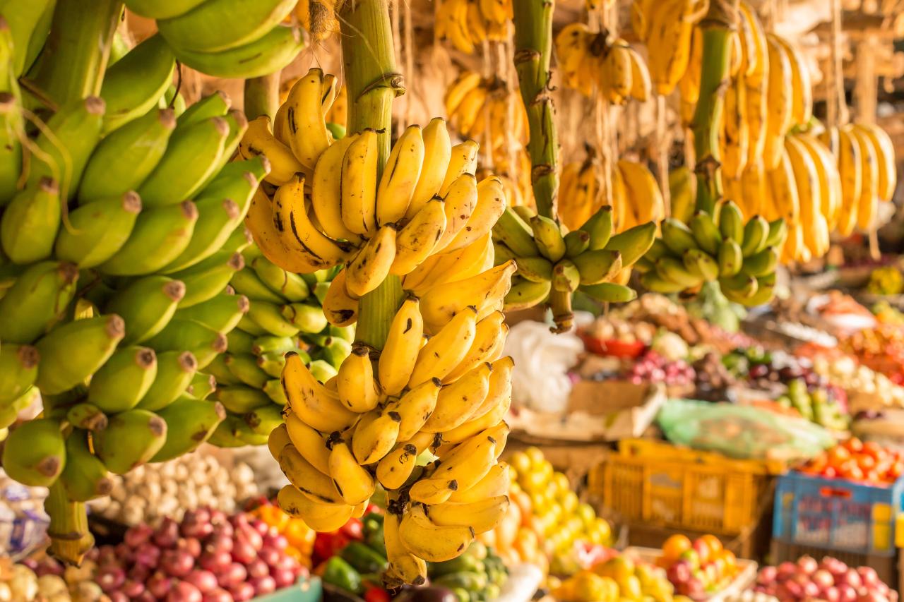 Kenya shutterstock_124598530.jpg Praktik i udlandet for bioanalytikere