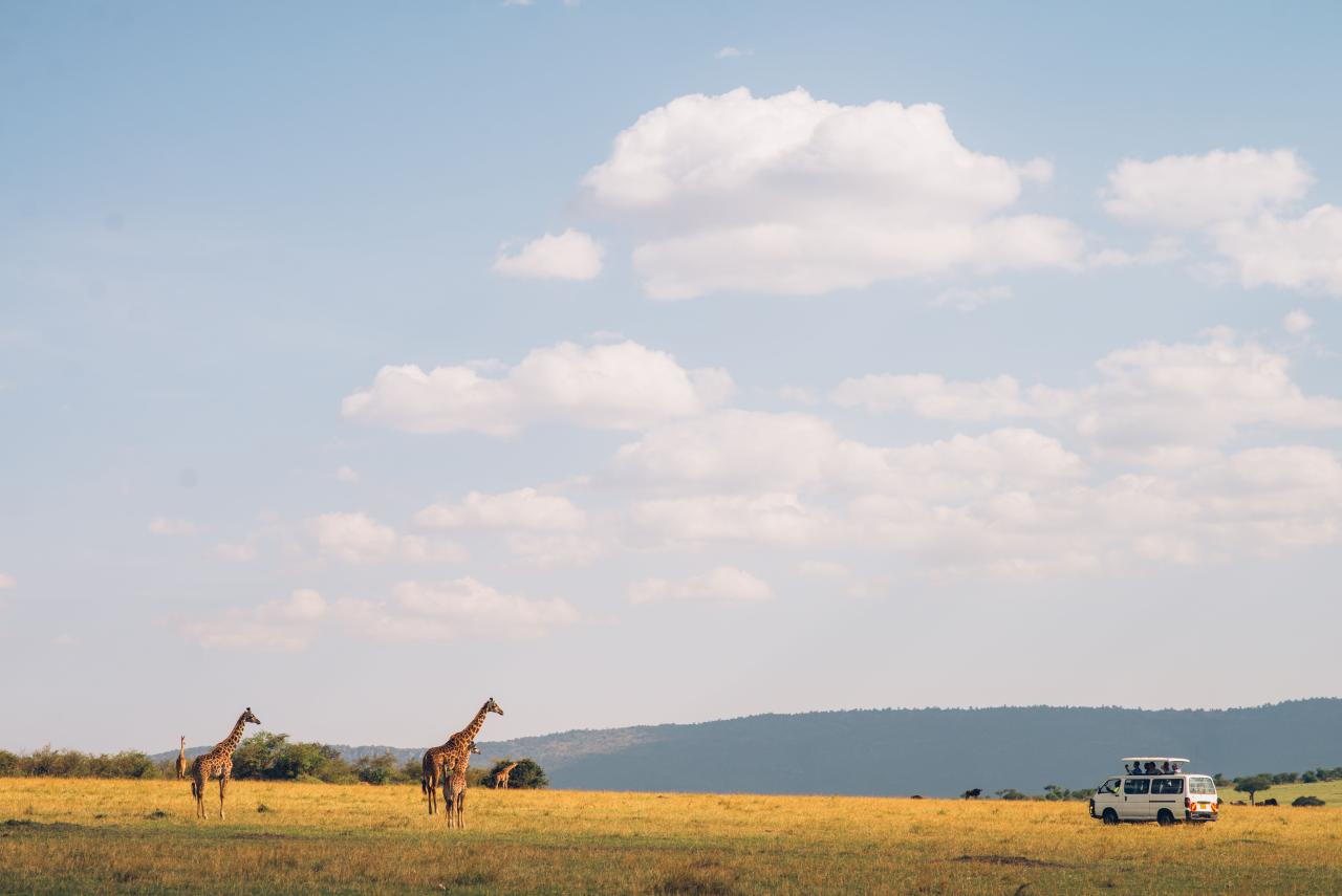 Tag på udlandspraktik som bioanalytiker i Tanzania