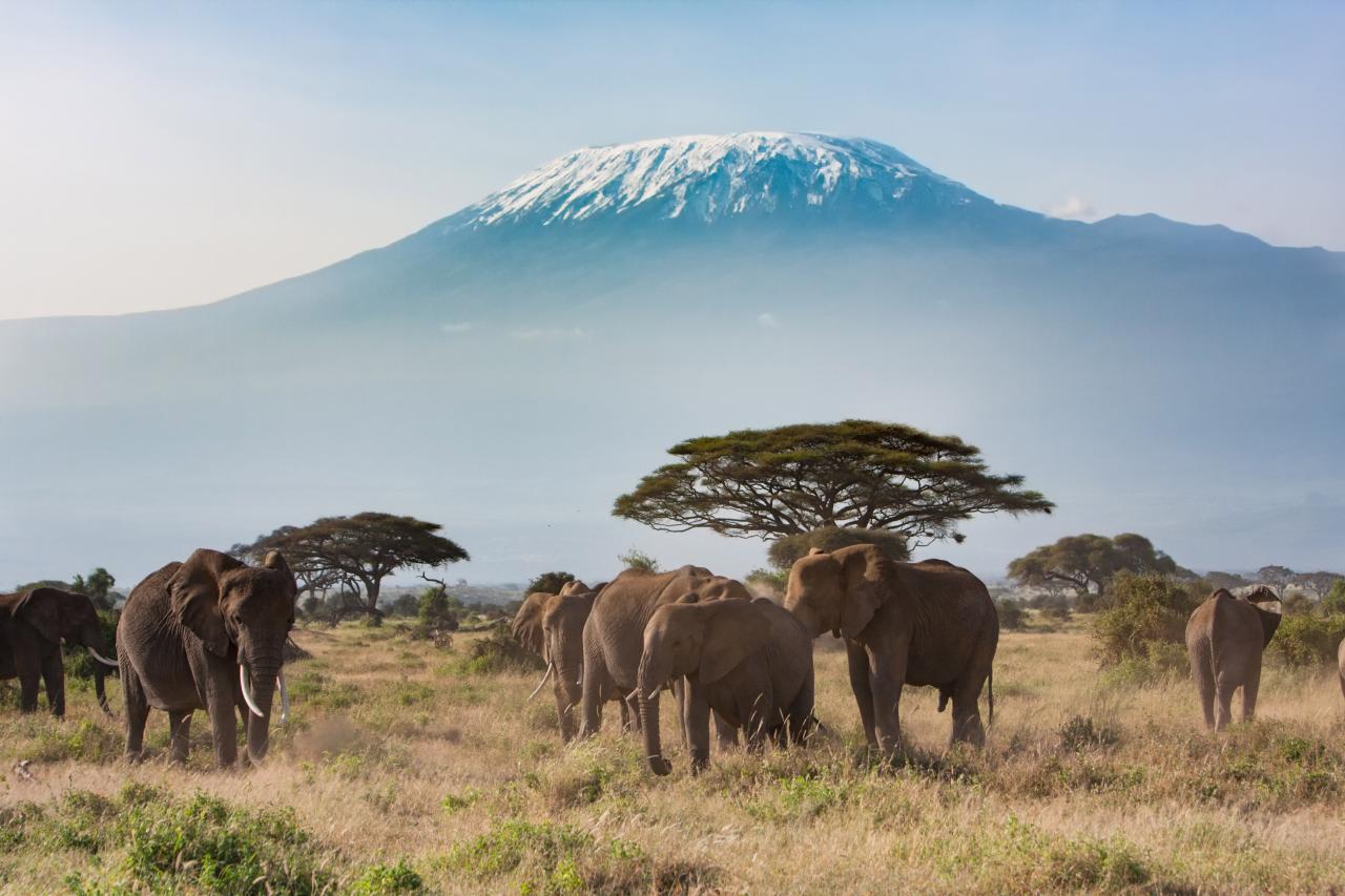 Uganda shutterstock_363076172.jpg Oplev den smukke natur i Uganda som studerende
