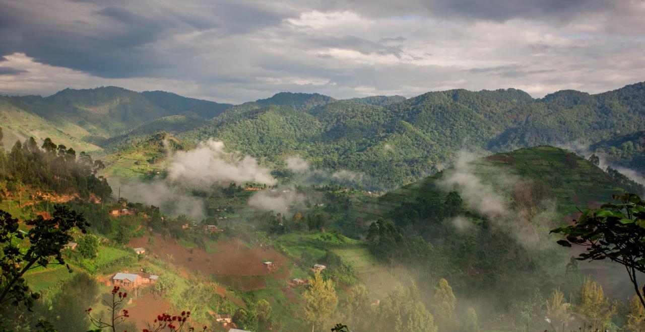 Uganda shutterstock_420485140.jpg Rejs som studerende til Uganda