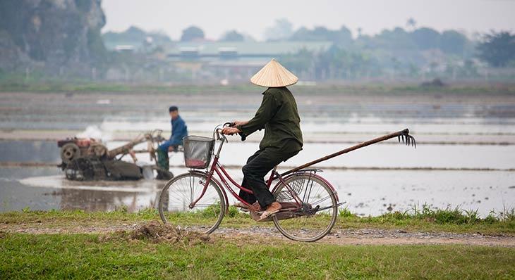 Ergoterapeut praktik i Vietnam