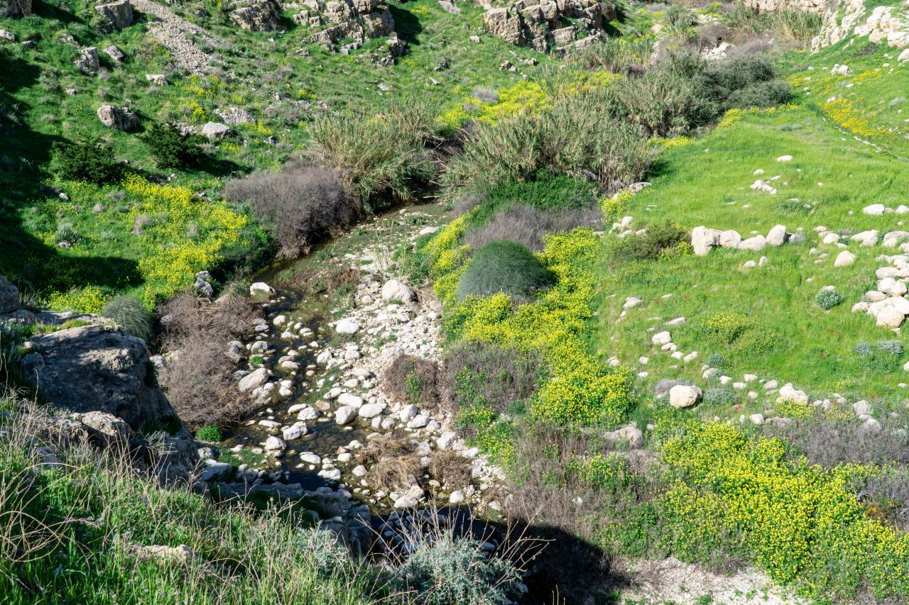 Billede af: Andreas Von Essen