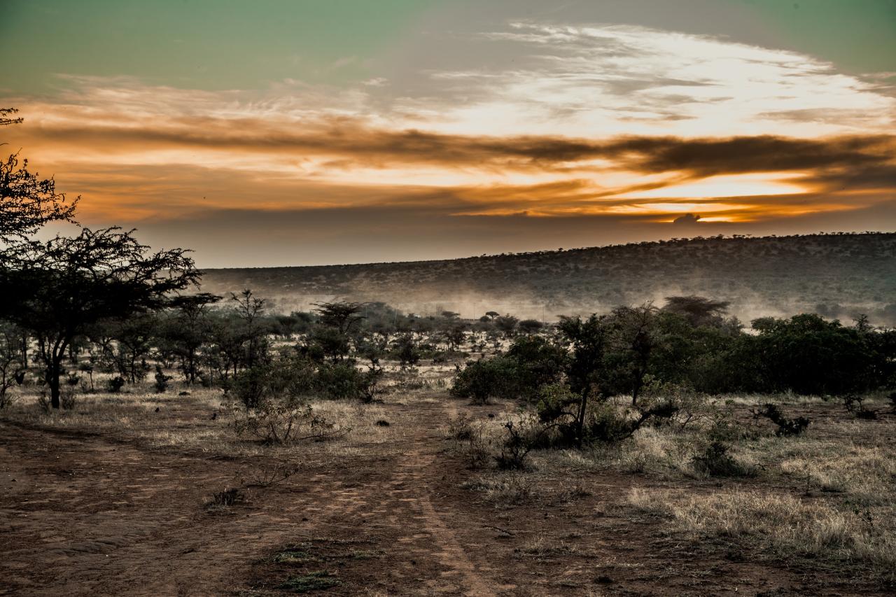 Foto af: Jacob Gren Rokbøl