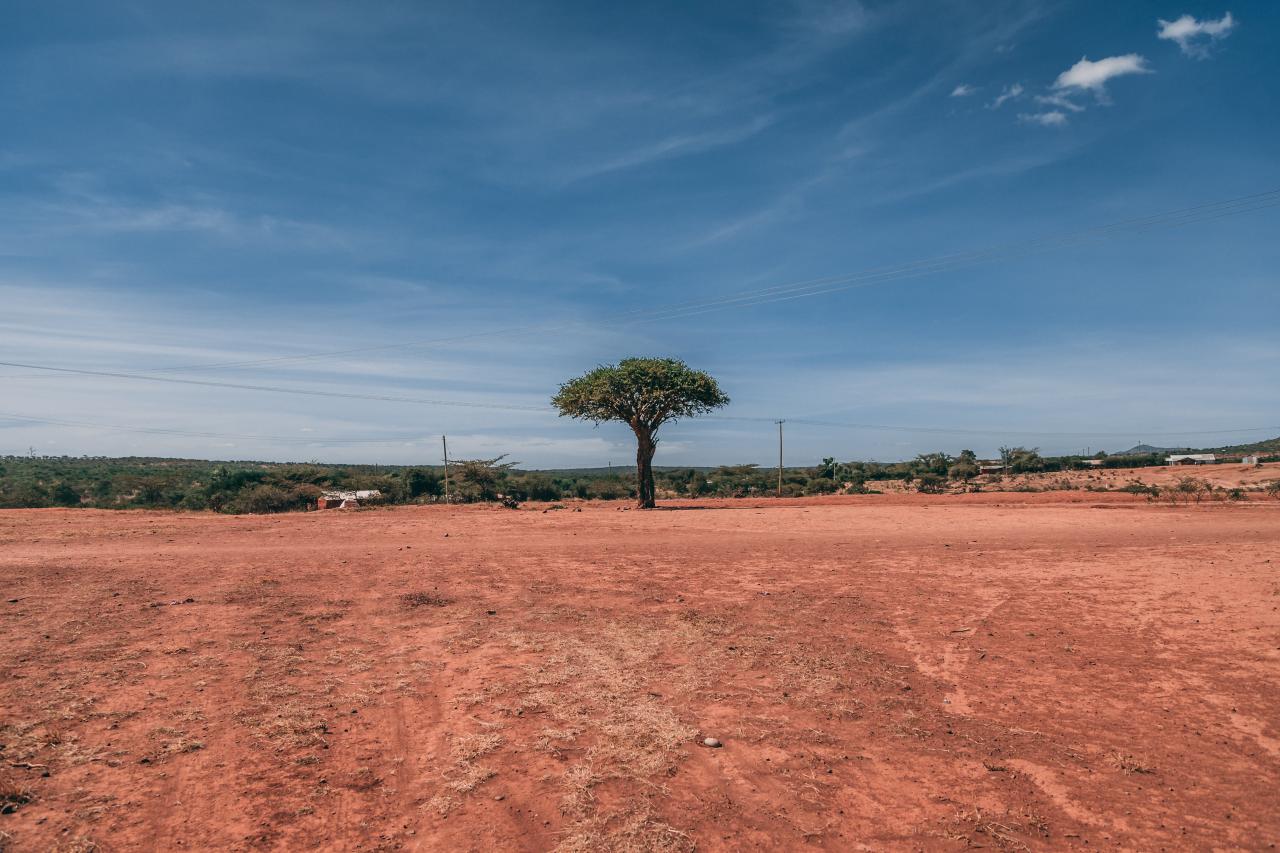 Foto af: Jacob Gren Rokbøl