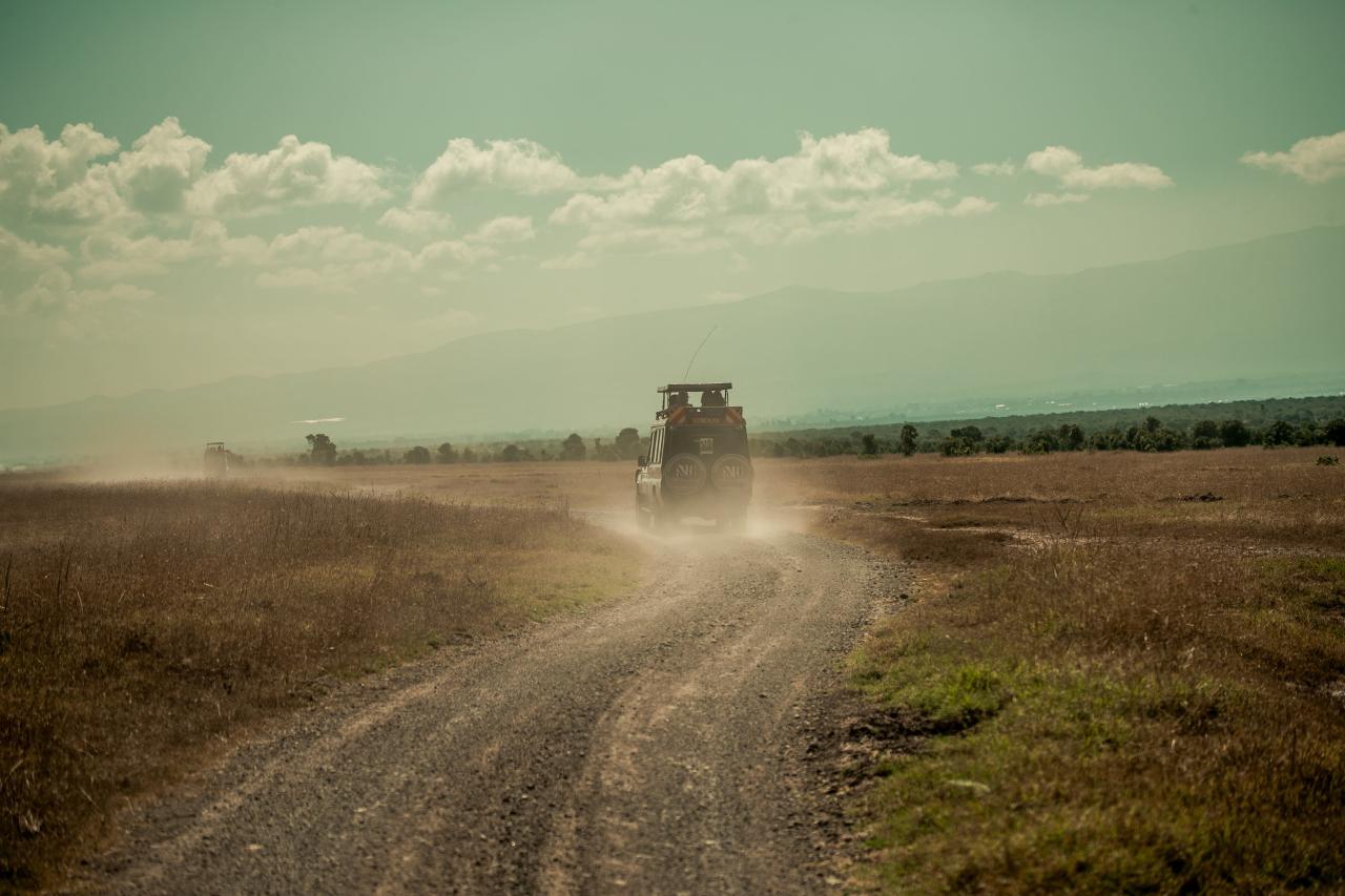 Foto af: Jacob Gren Rokbøl