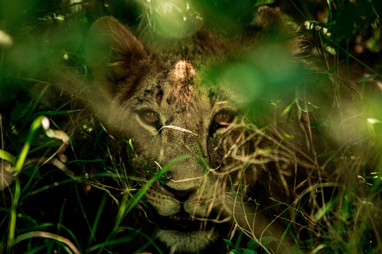 Foto af: Jacob Gren Rokbøl