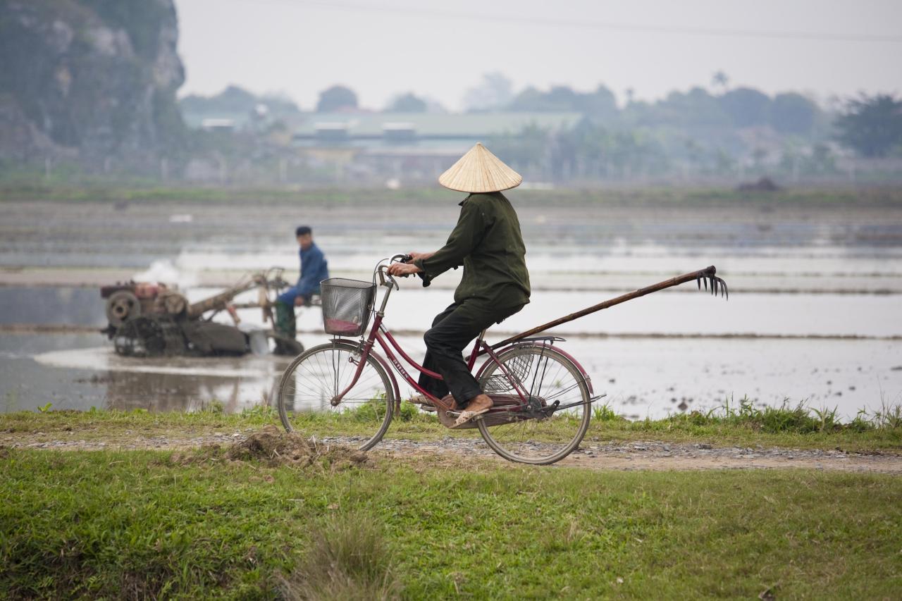 ARP_123067.jpg Praktik i Vietnam