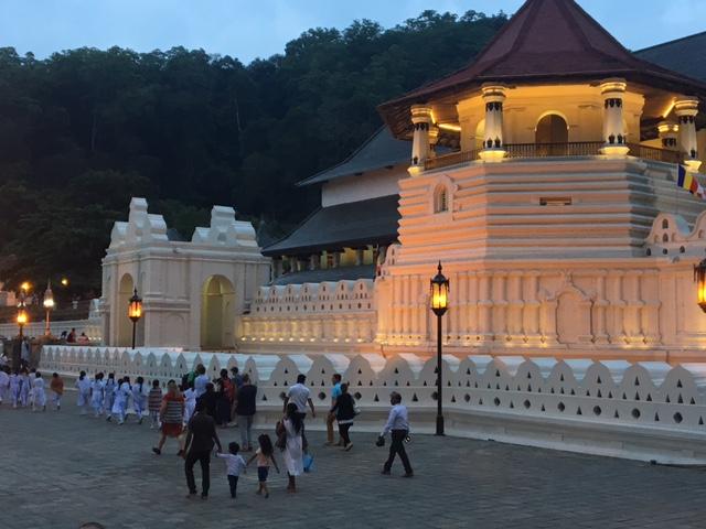 Rejs til Sri Lanka som studerende