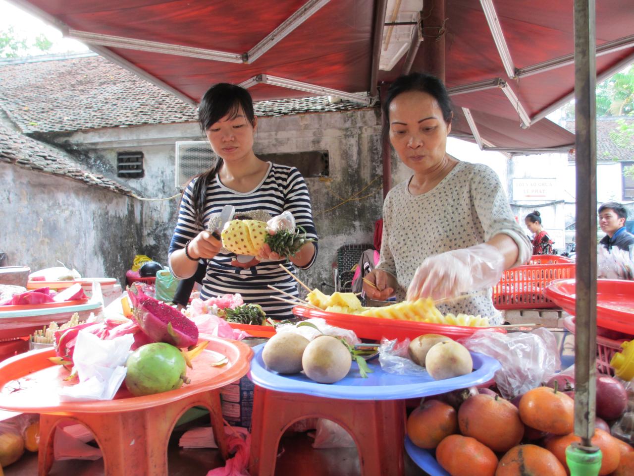 Rejs til Vietnam som studerende