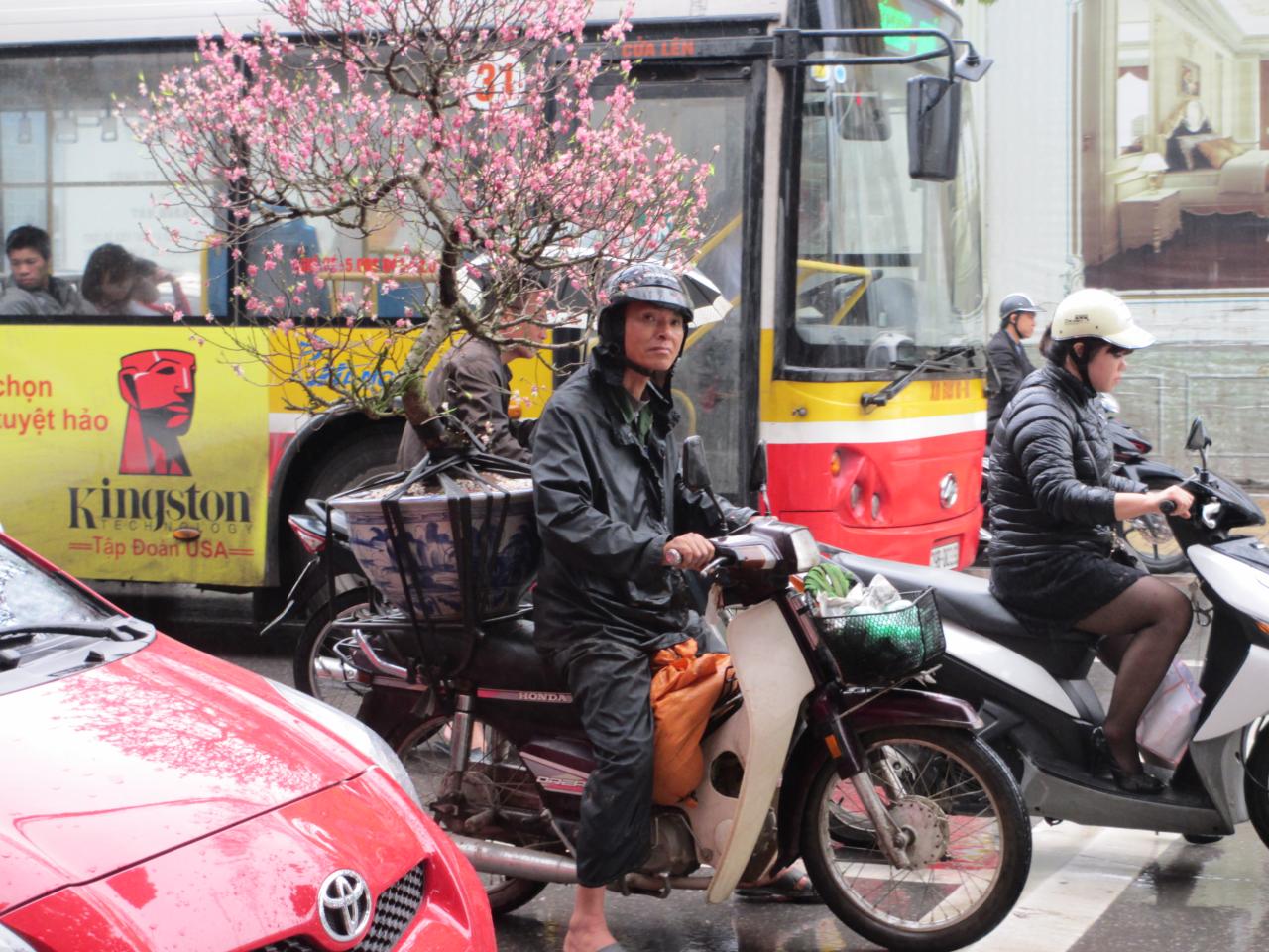 Rejs til Vietnam som studerende