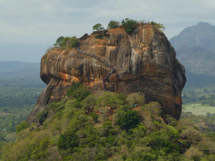 Kathrine Ørum WSPN 8 Lion Rock.jpg Rejs til Sri Lanka som studerende