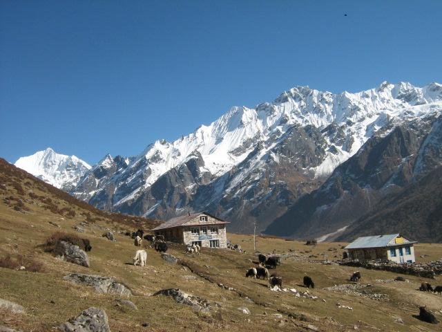 Rejs til Nepal som studerende