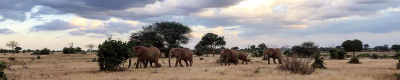 Sommerhøjskole i Kenya 