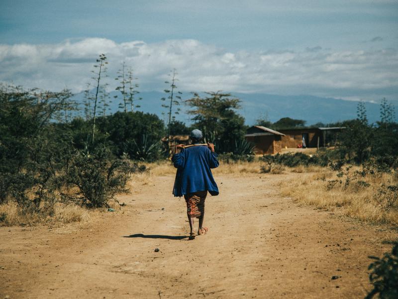 Få natur oplevelser på din studietur til Kenya. Foto af: Jacob Gren Rokbøl