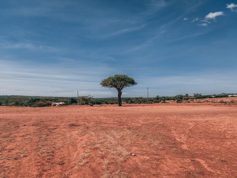 Få natur oplevelser på din studietur til Kenya. Foto af: Jacob Gren Rokbøl
