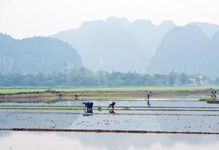Vietnam