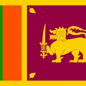 Rejsepartner på Sri Lanka