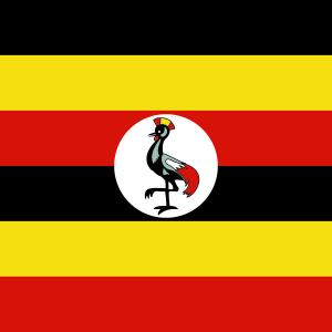 Frivilligt arbejde i Uganda