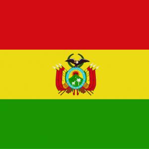 Rejse til Bolivia som frivillig